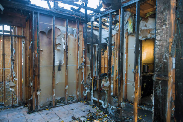 Professional Fire Damage Removal technician working in College, AK